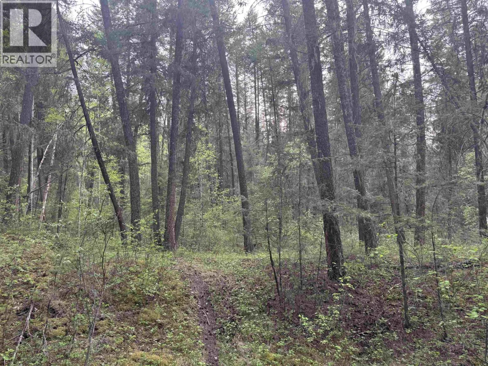 550 DOG CREEK ROAD