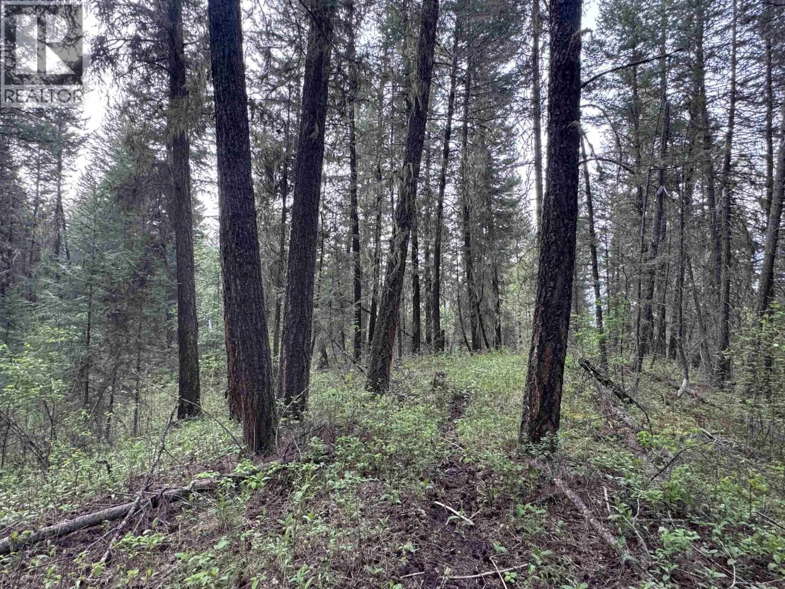 550 DOG CREEK ROAD