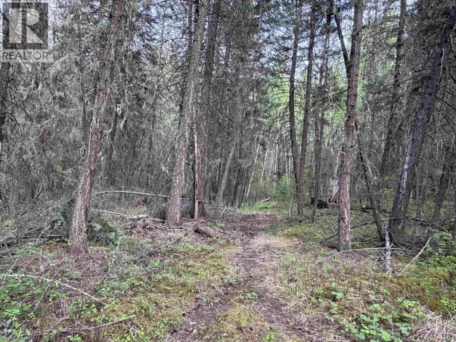 550 DOG CREEK ROAD