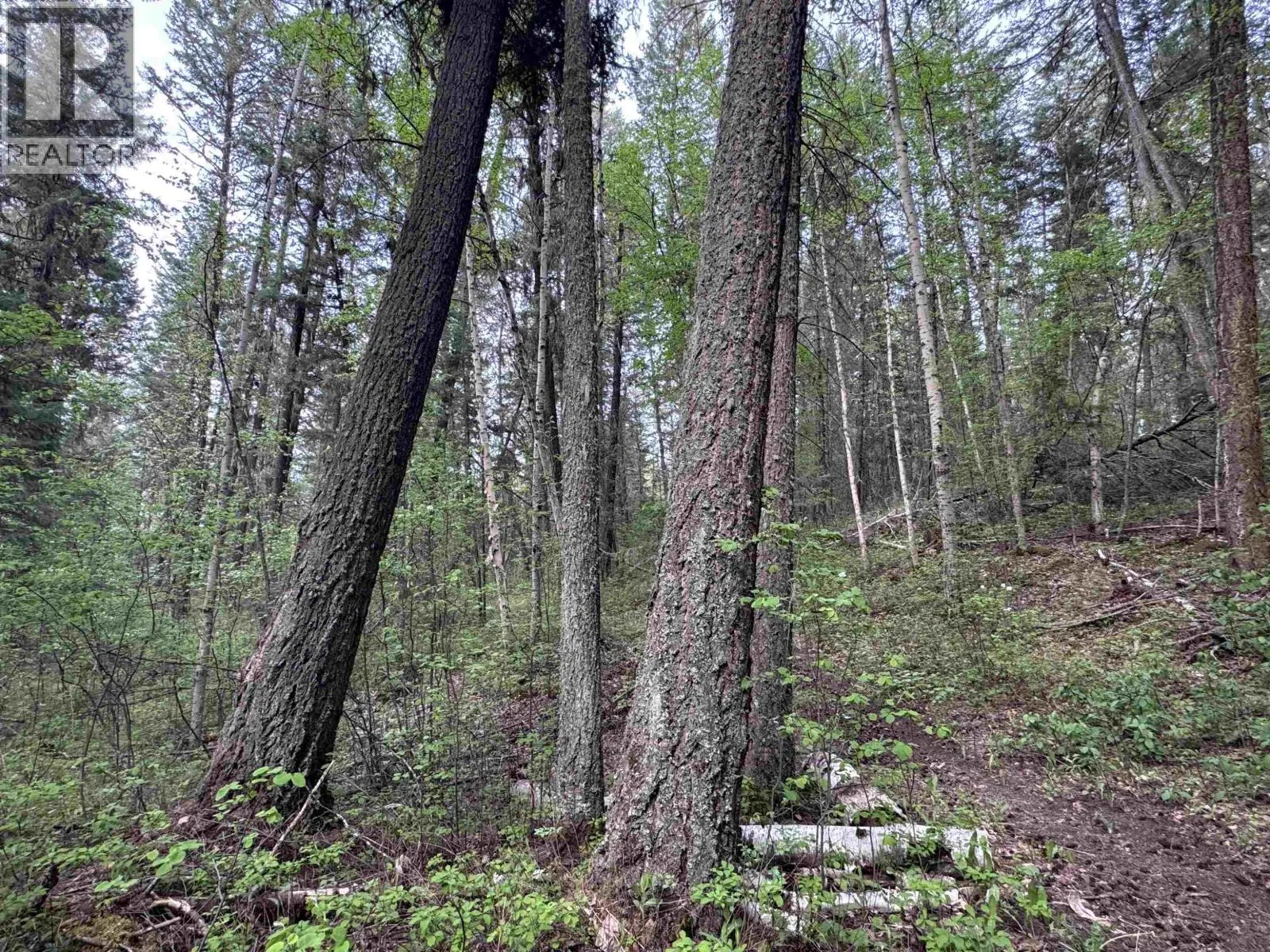 550 DOG CREEK ROAD