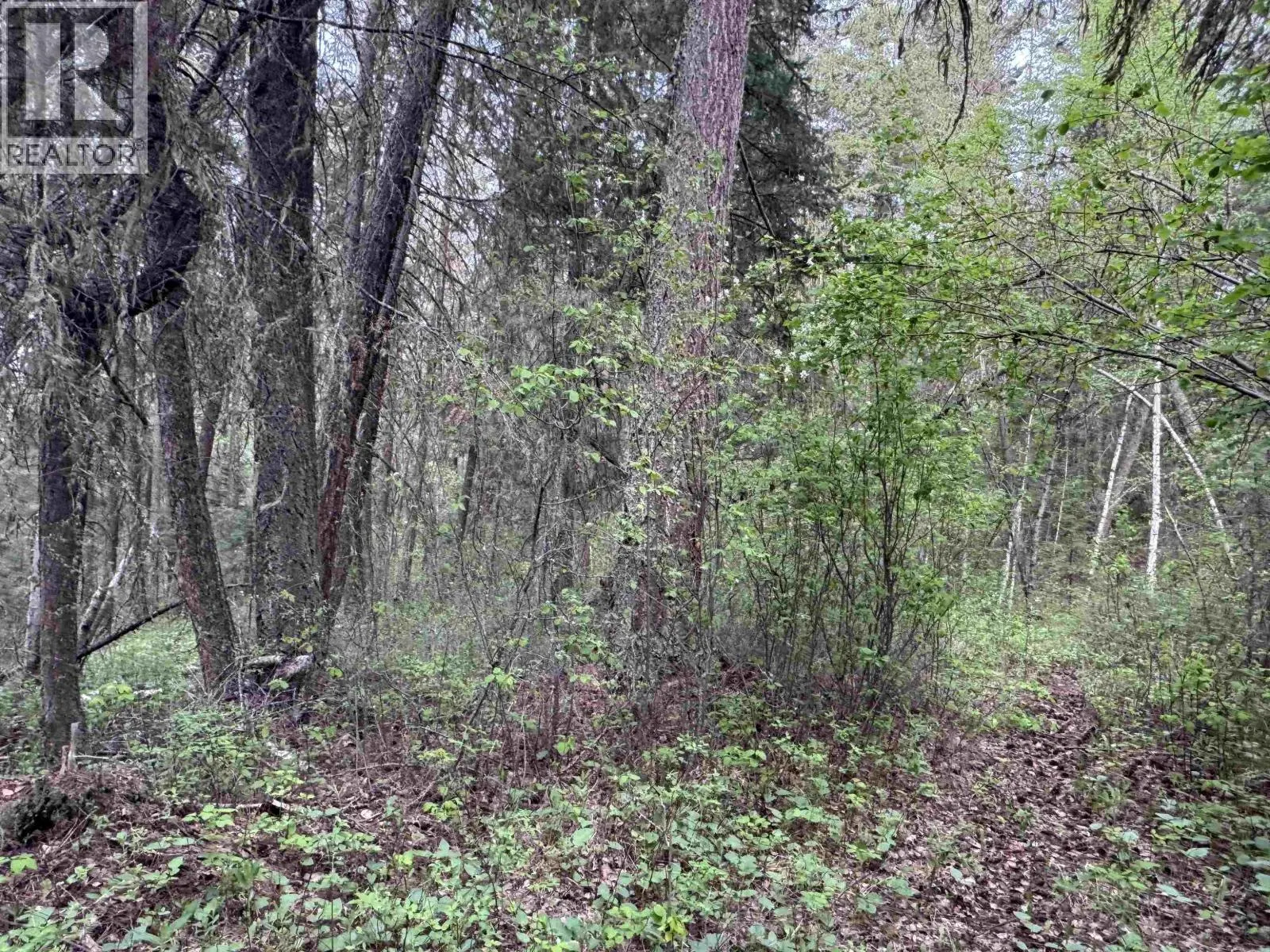 550 DOG CREEK ROAD