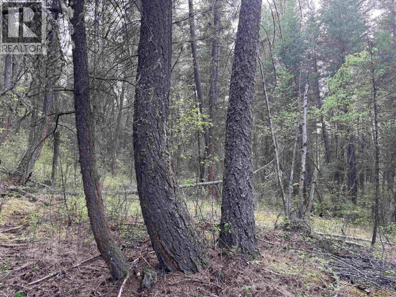 550 DOG CREEK ROAD