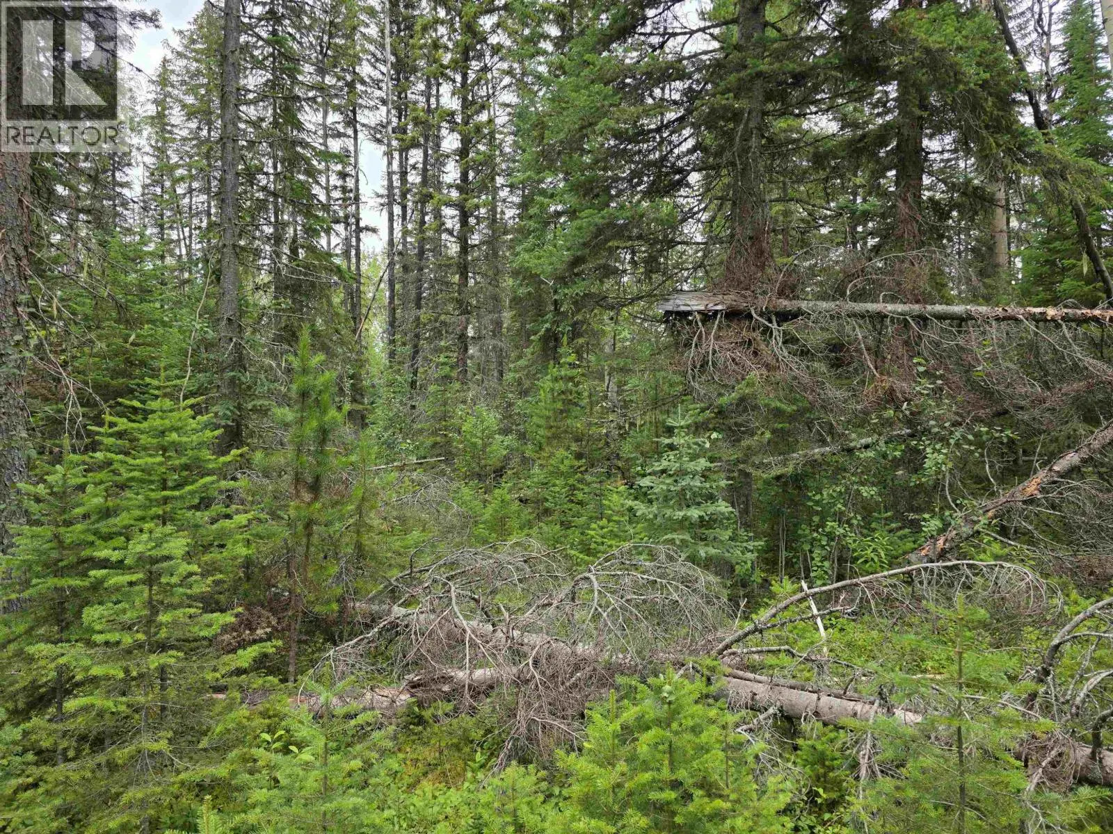 LOT 5 BOWRON LAKE ROAD