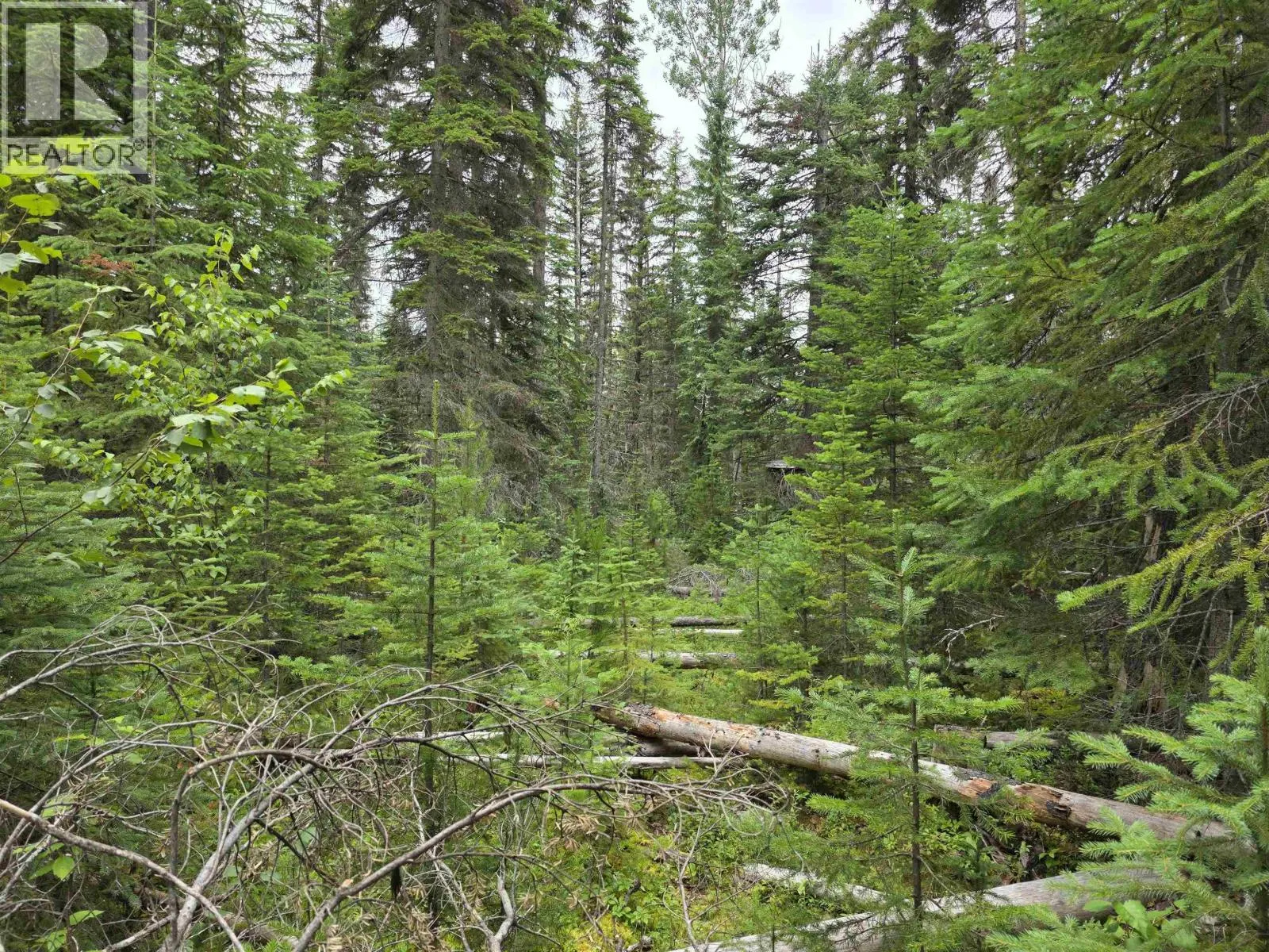 LOT 5 BOWRON LAKE ROAD