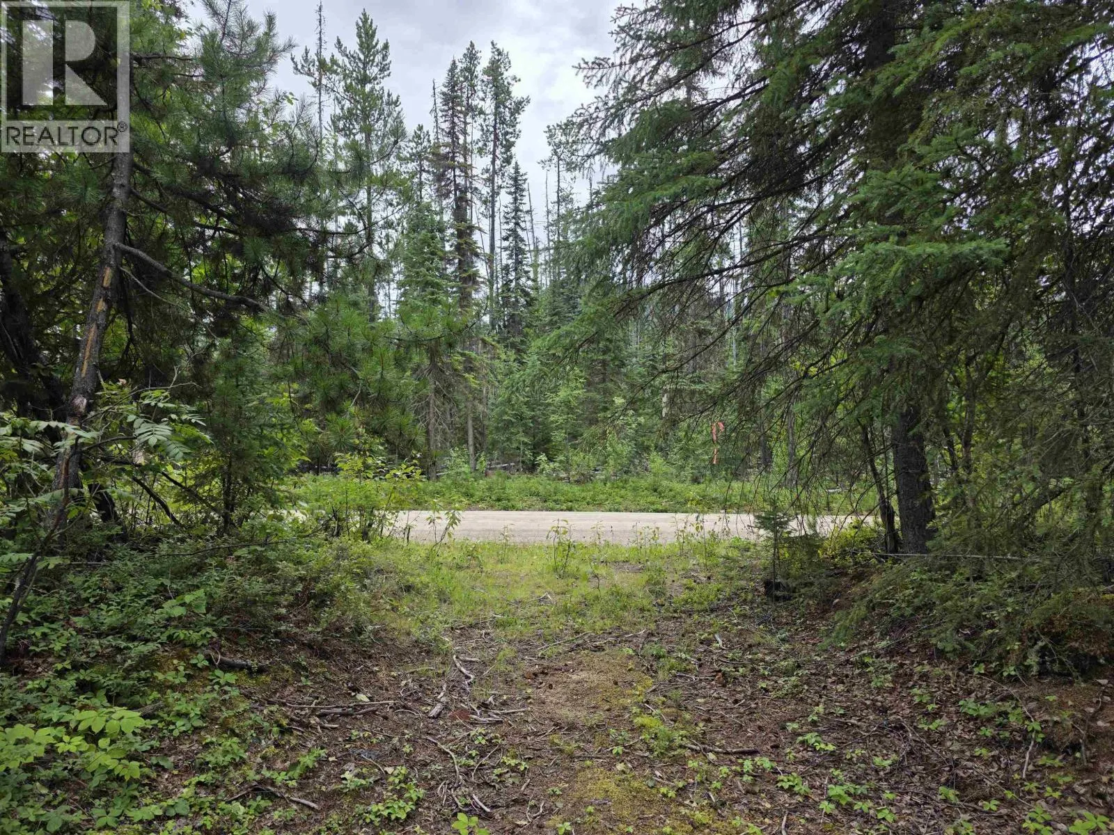 LOT 5 BOWRON LAKE ROAD