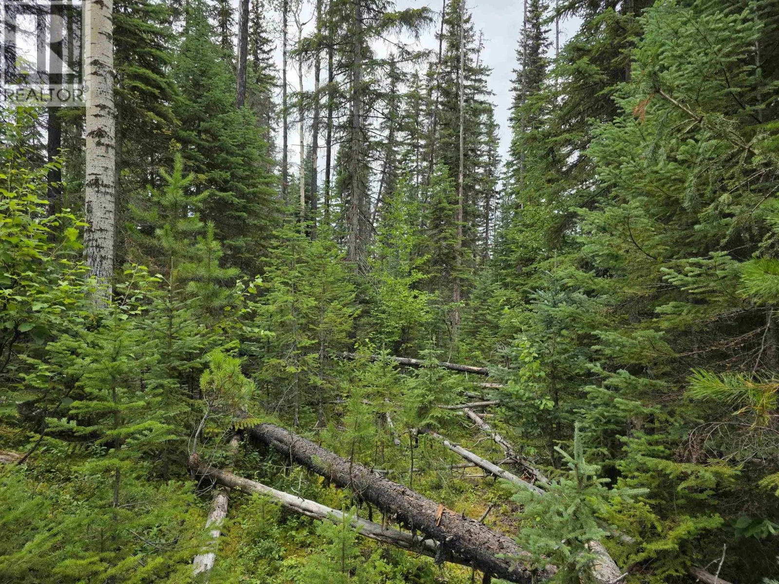 LOT 5 BOWRON LAKE ROAD