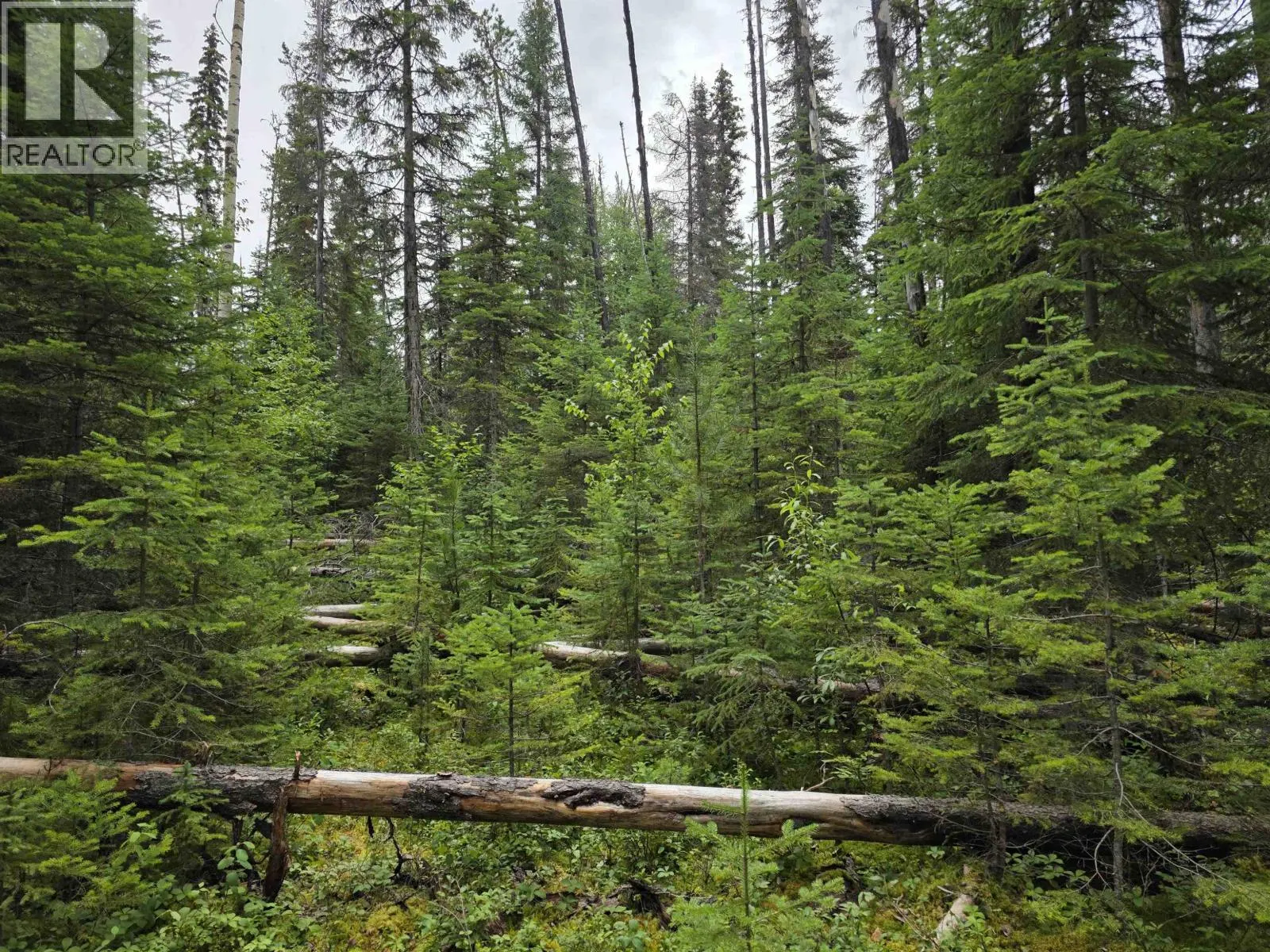 LOT 5 BOWRON LAKE ROAD