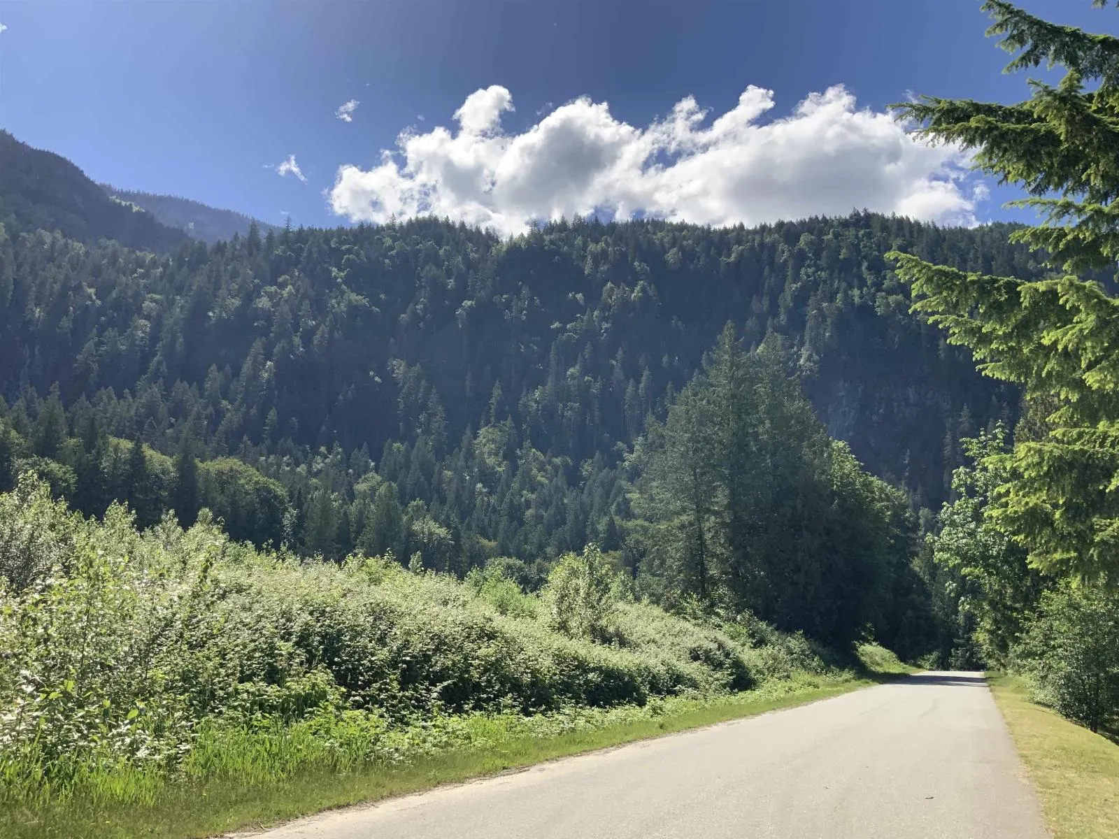 23 53480 BRIDAL FALLS ROAD|Bridal Falls