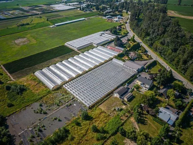 50284 YALE ROAD|Rosedale