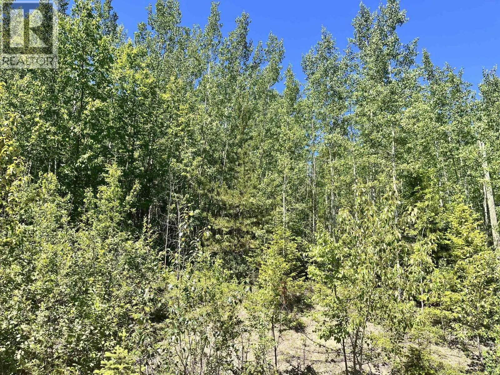 LOT 8 PURSER CREEK ROAD