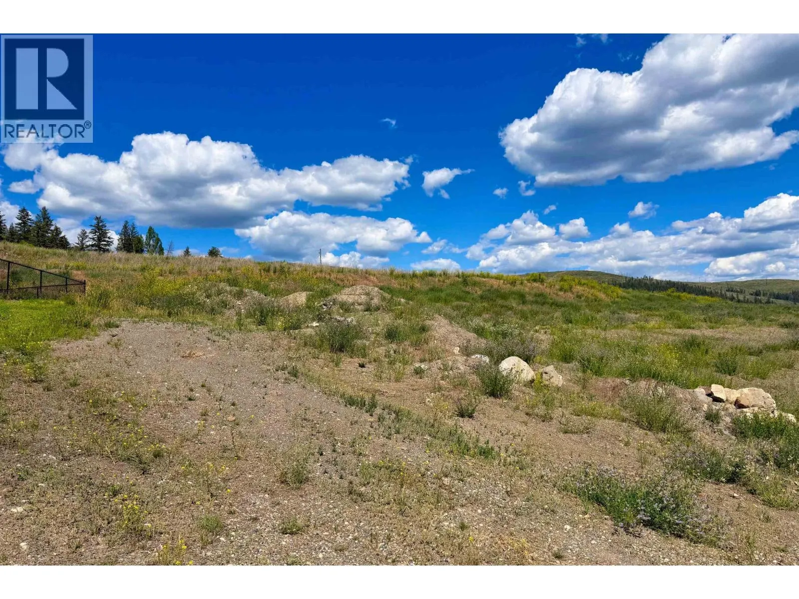 LT 159 2516 GOPHER DRIVE