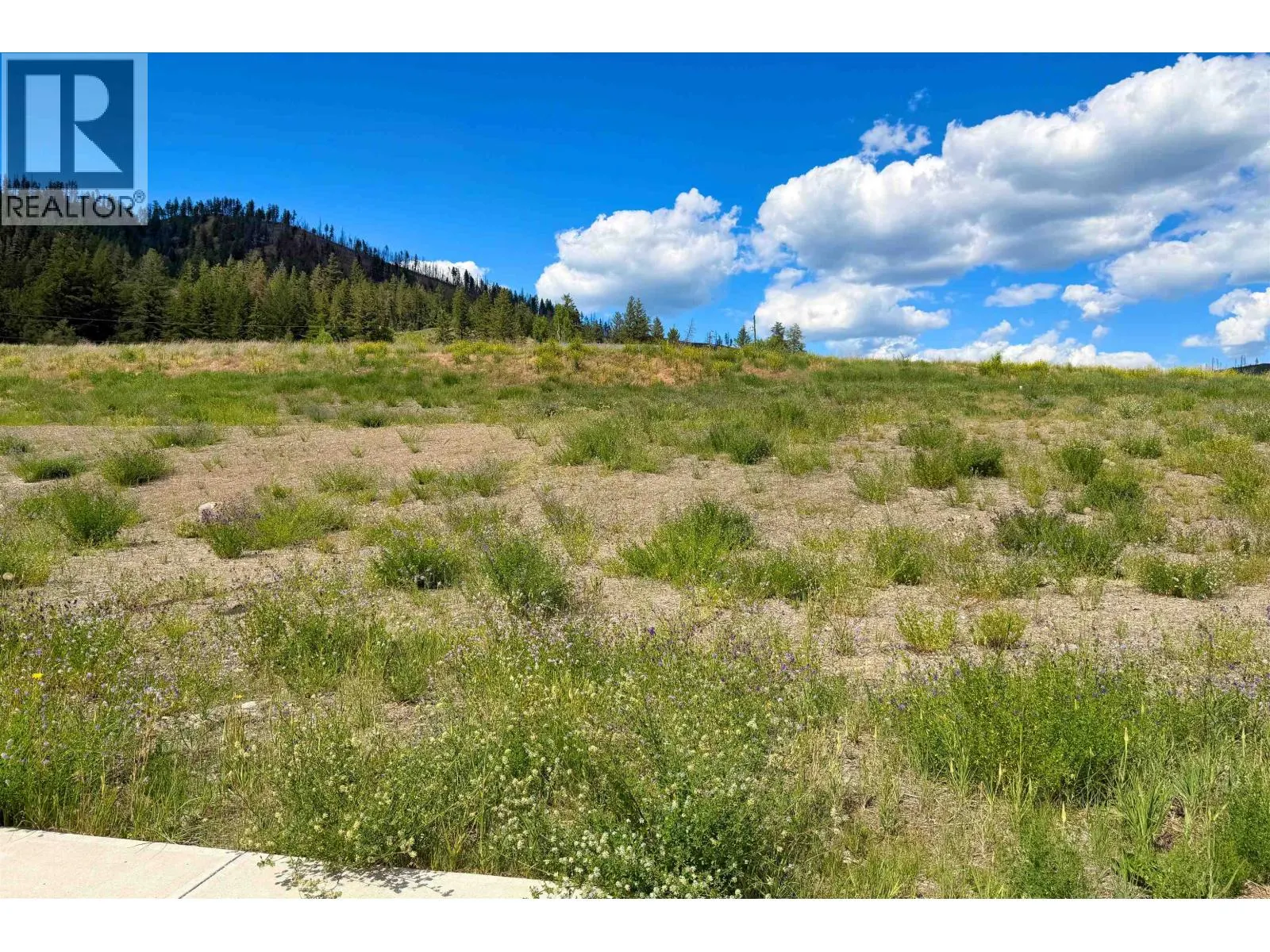 LOT 160 2518 GOPHER DRIVE