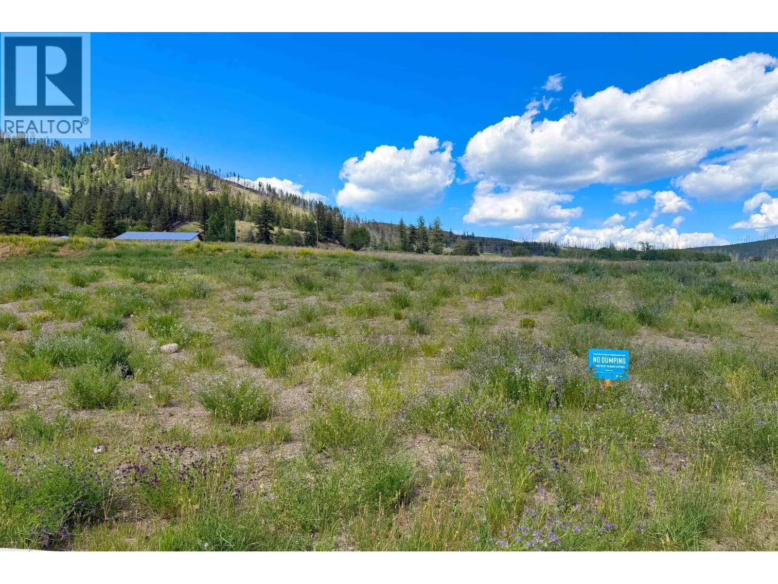 LOT 161 2520 GOPHER DRIVE