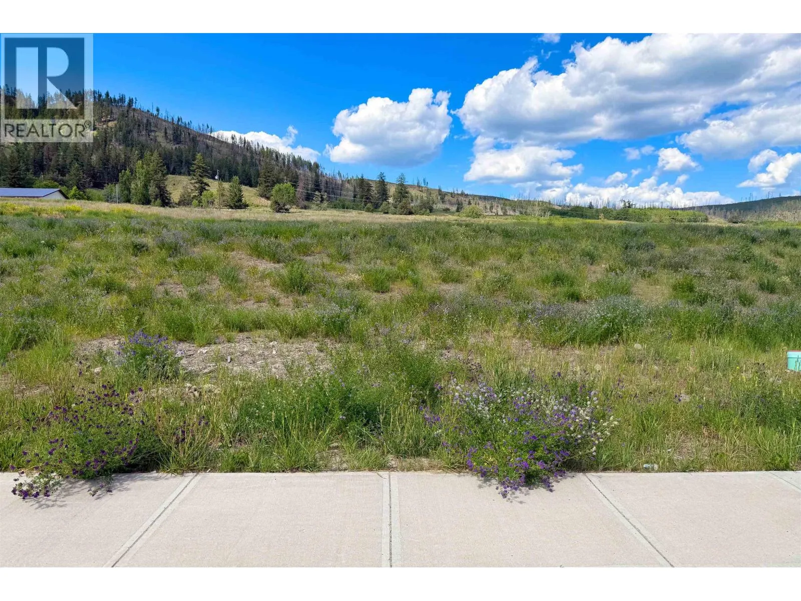 LOT 164 2526 GOPHER DRIVE