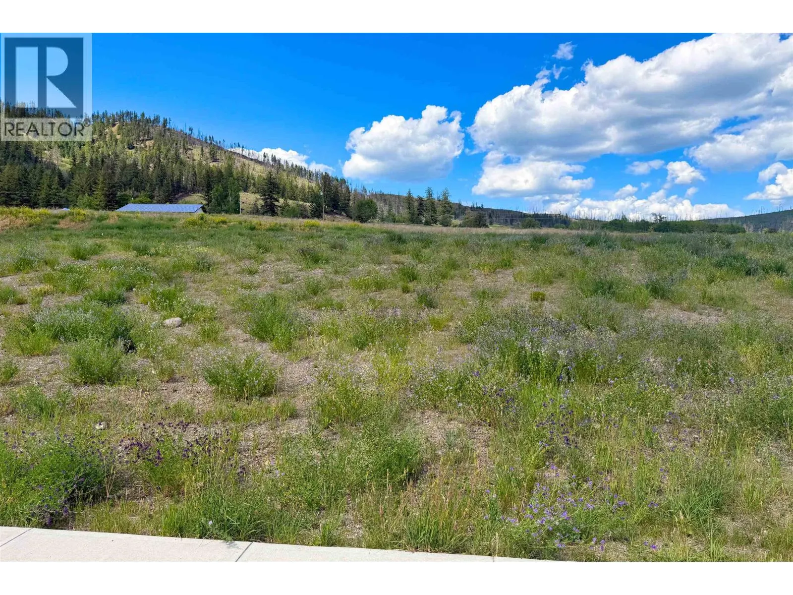 LOT 163 2524 GOPHER DRIVE