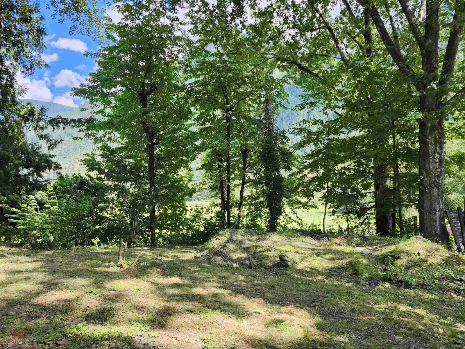 10821 N POPKUM ROAD|Popkum