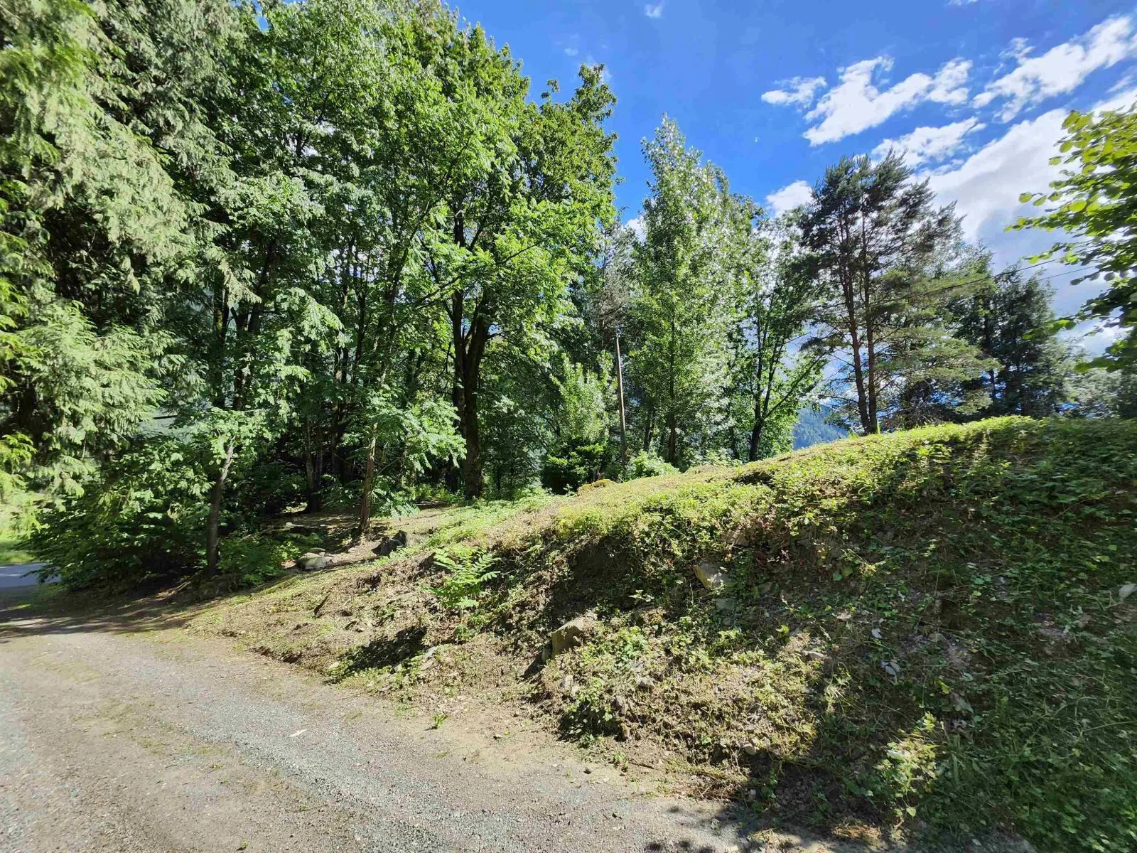 10821 N POPKUM ROAD|Popkum