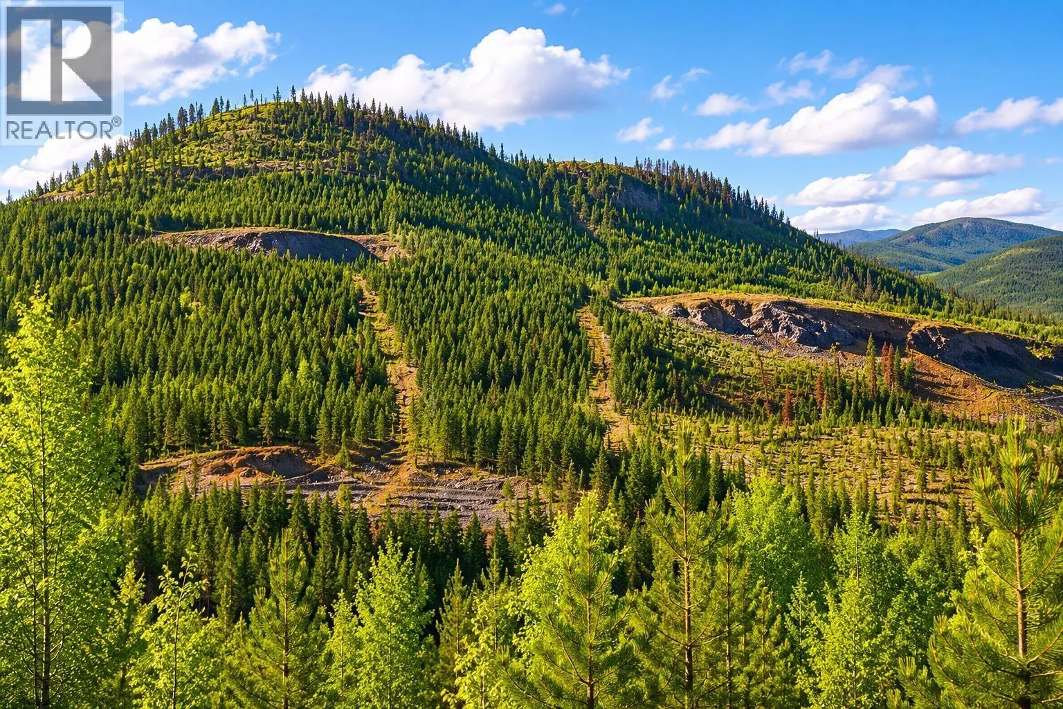 DL 3456 FORESTRY ROAD