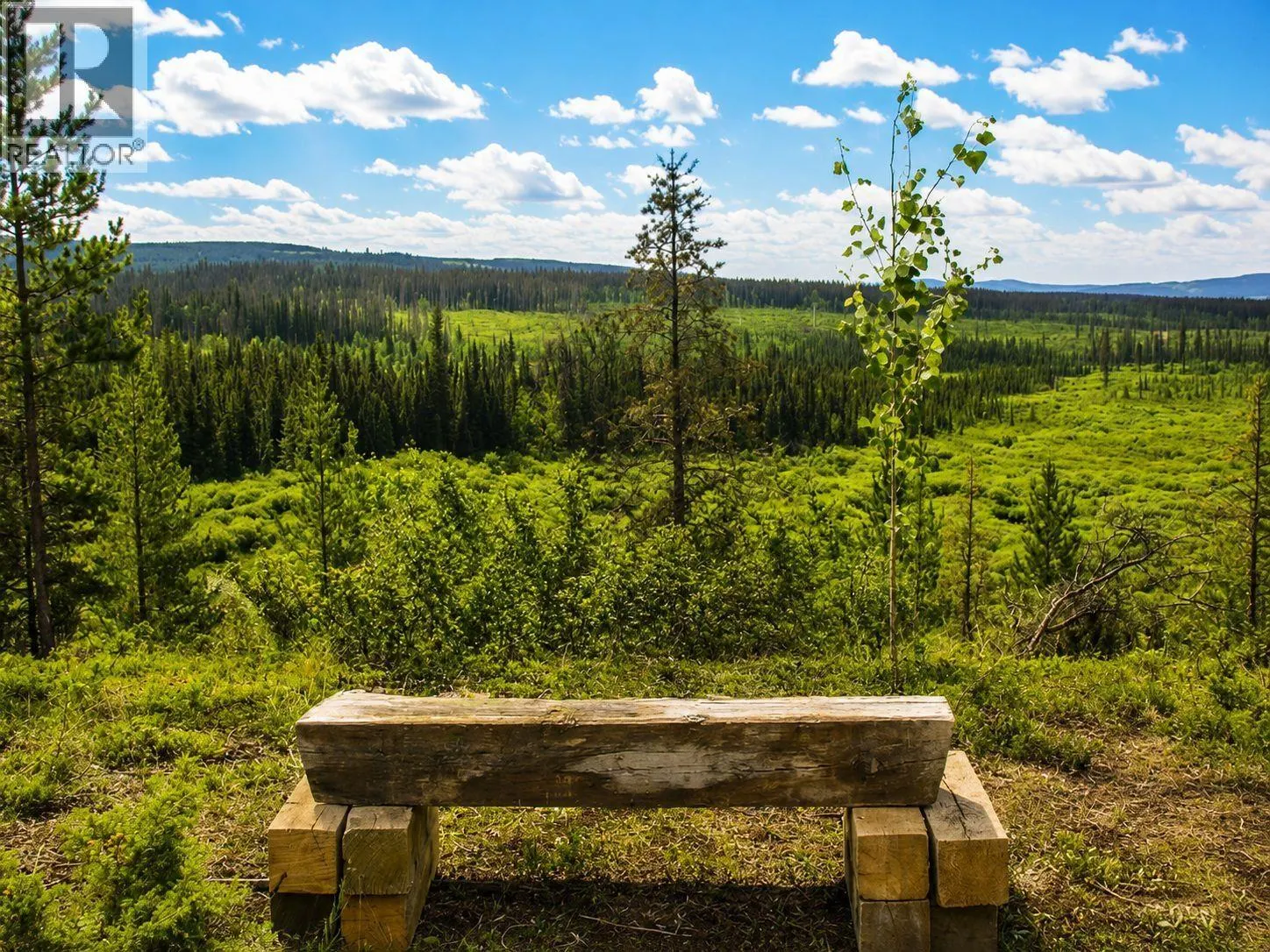 DL 3456 FORESTRY ROAD