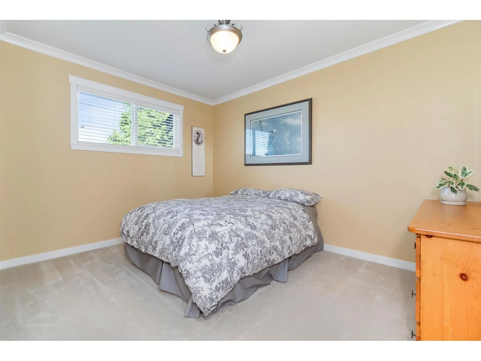 10321 PARKWOOD DRIVE|Rosedale