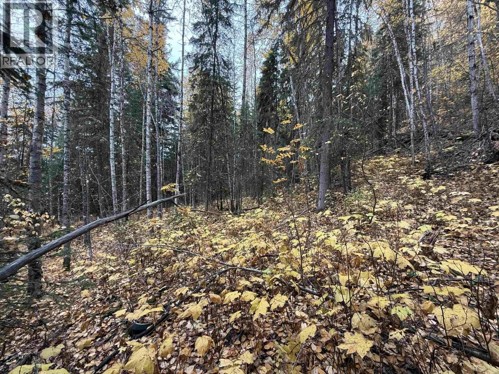 LOT 6 FRANCESS DRIVE