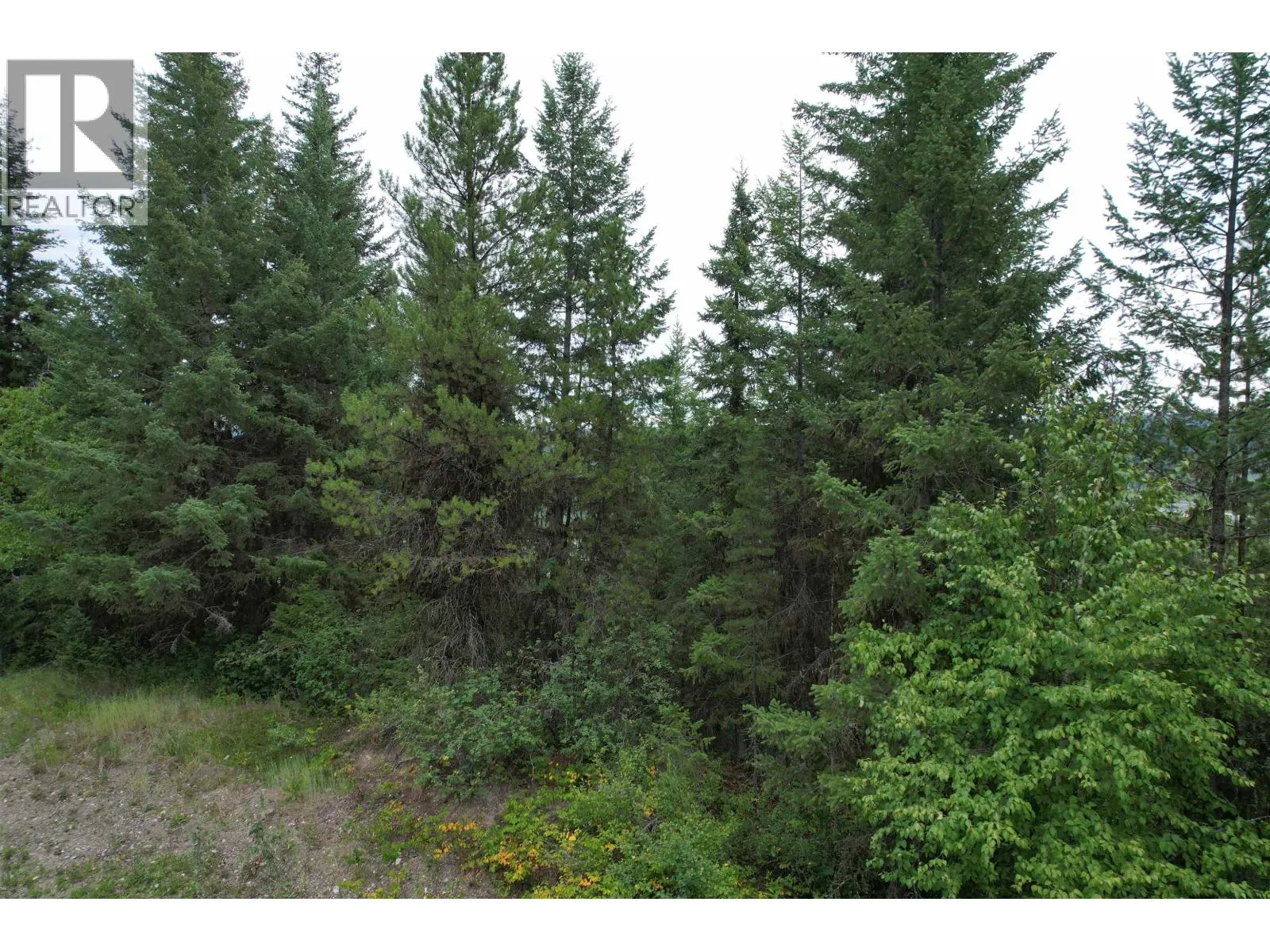 LOT 6 FRANCESS DRIVE
