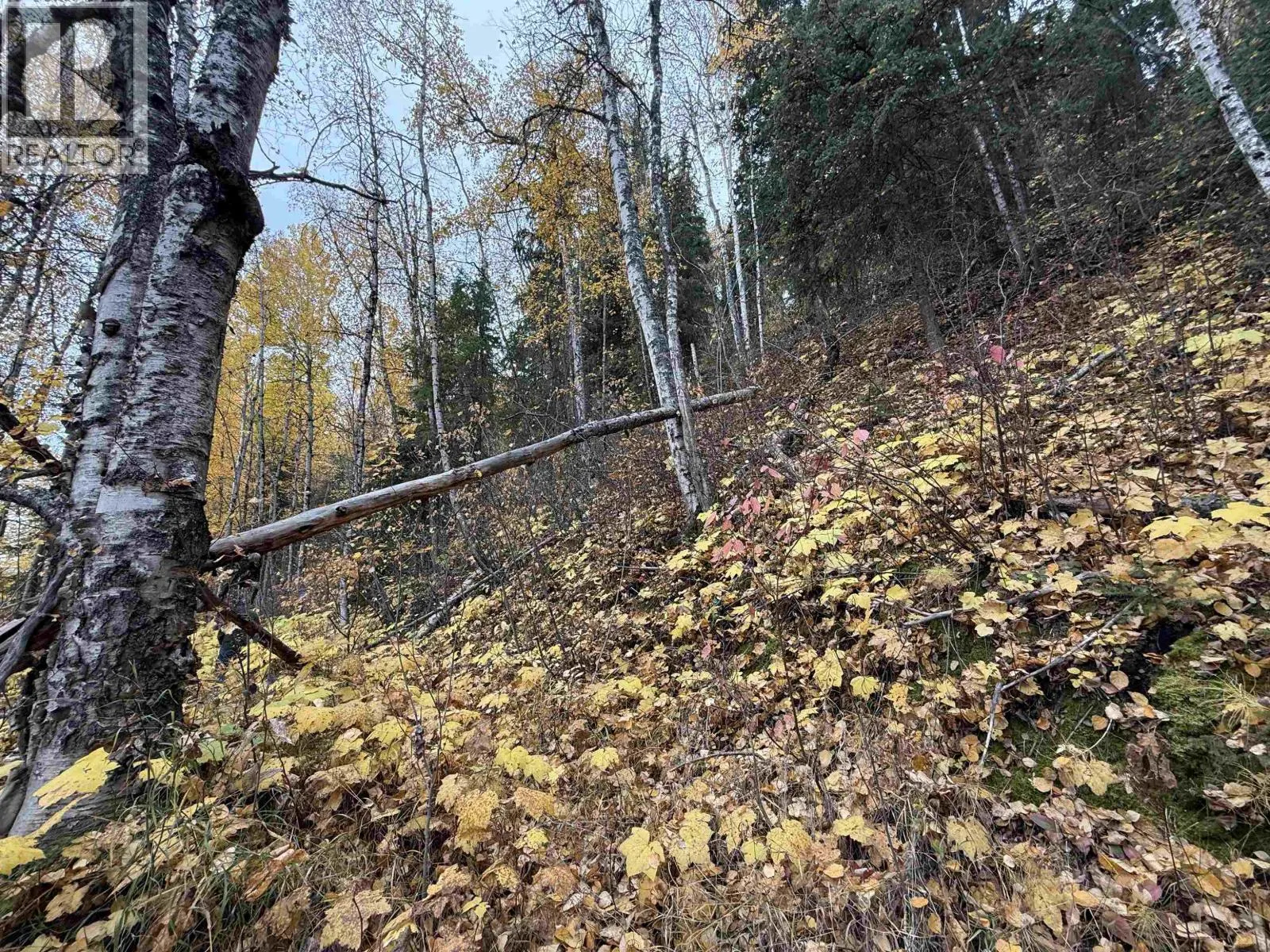 LOT 6 FRANCESS DRIVE