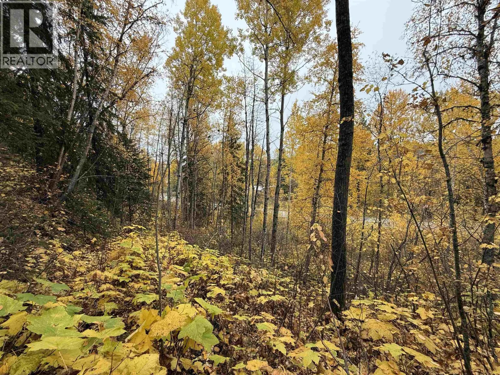 LOT 6 FRANCESS DRIVE