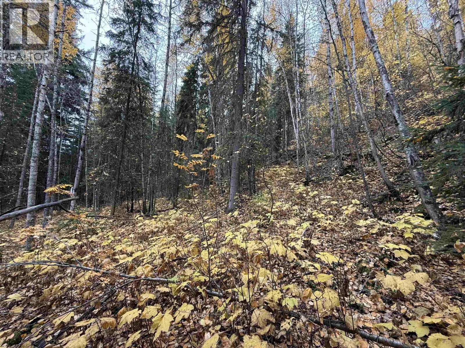 LOT 6 FRANCESS DRIVE