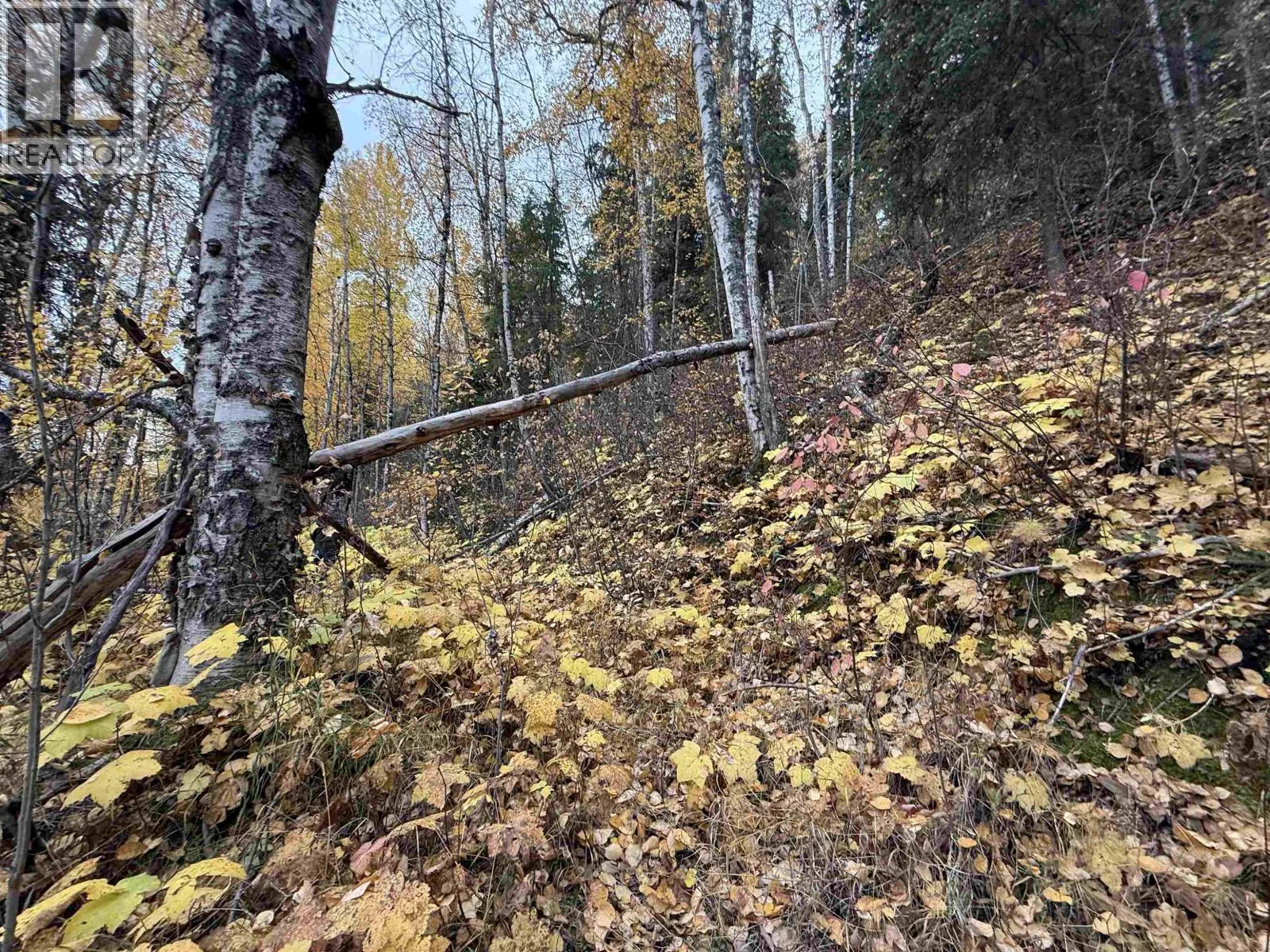 LOT 6 FRANCESS DRIVE