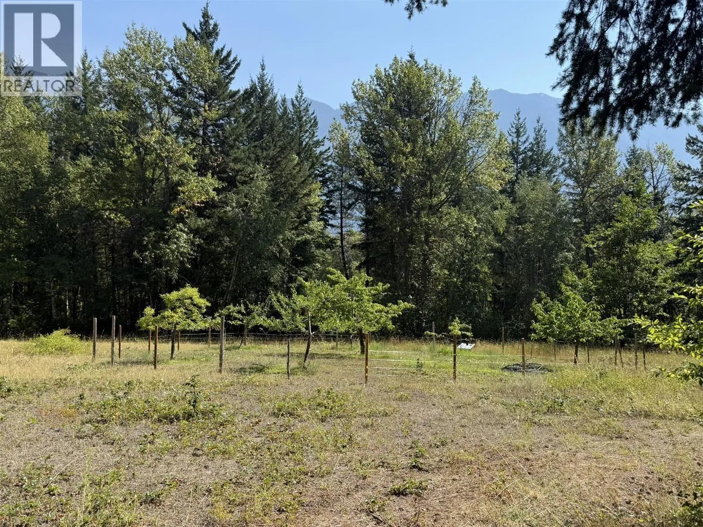 3170 PONDEROSA ROAD