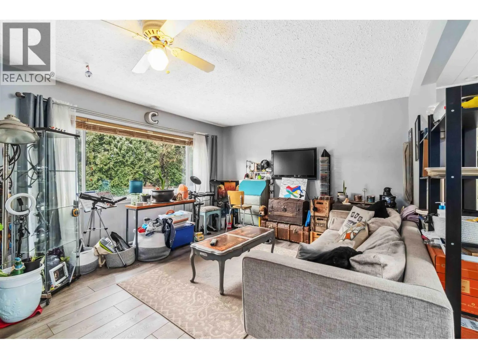 3684 CEDAR DRIVE