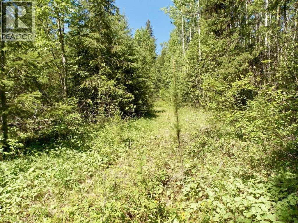 LOT 2 STARLIKE LAKE ROAD
