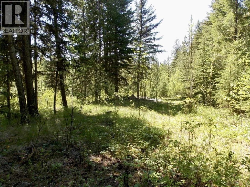 LOT 2 STARLIKE LAKE ROAD