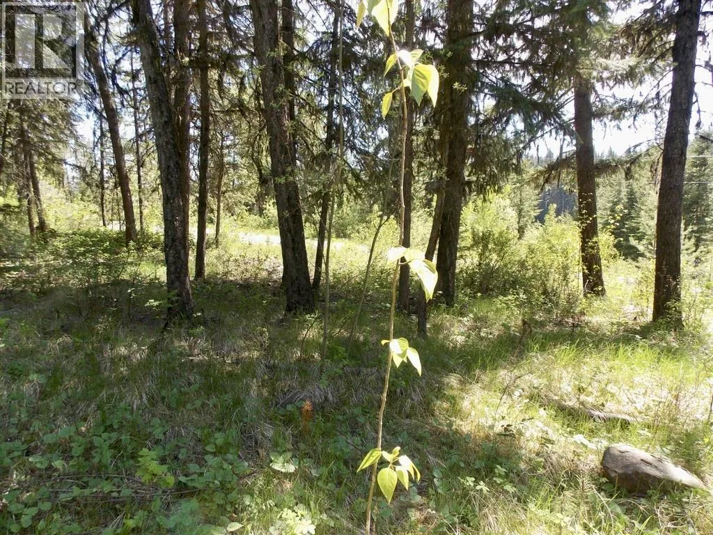 LOT 2 STARLIKE LAKE ROAD