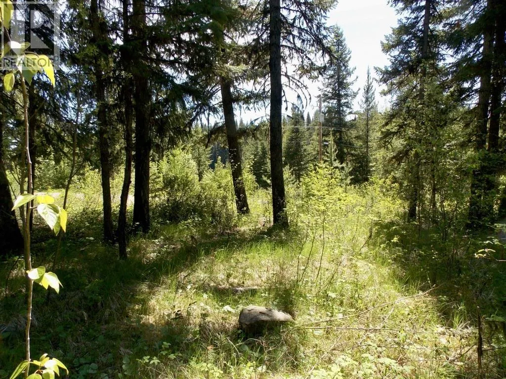 LOT 2 STARLIKE LAKE ROAD