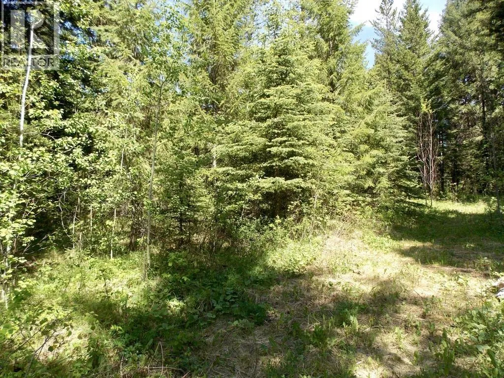 LOT 2 STARLIKE LAKE ROAD