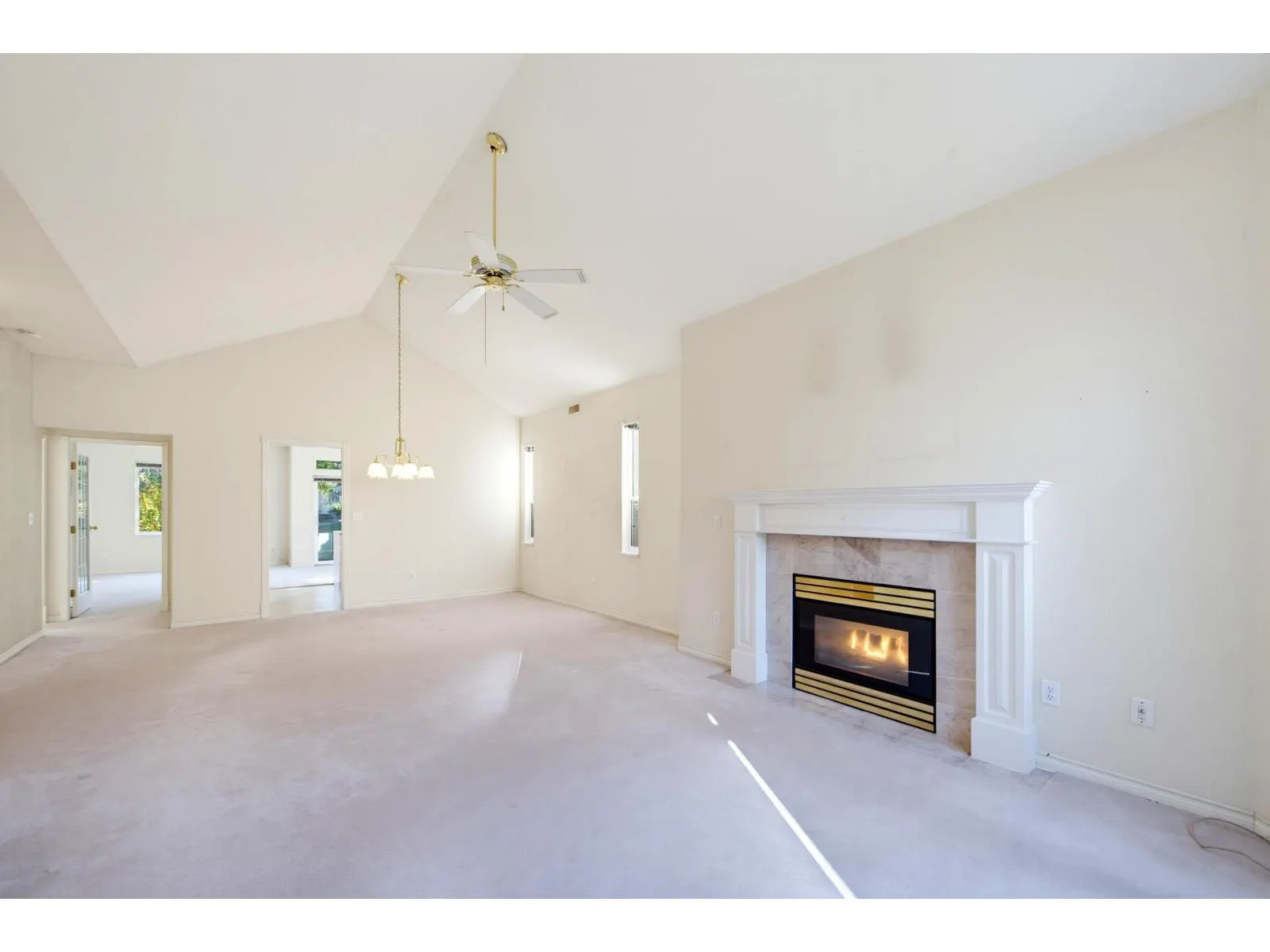 215 20655 88 AVENUE