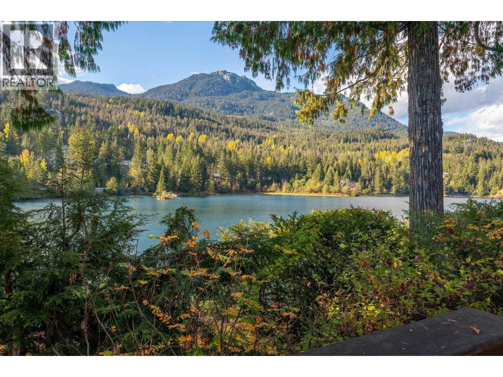 2216 WHISTLER RIDGE