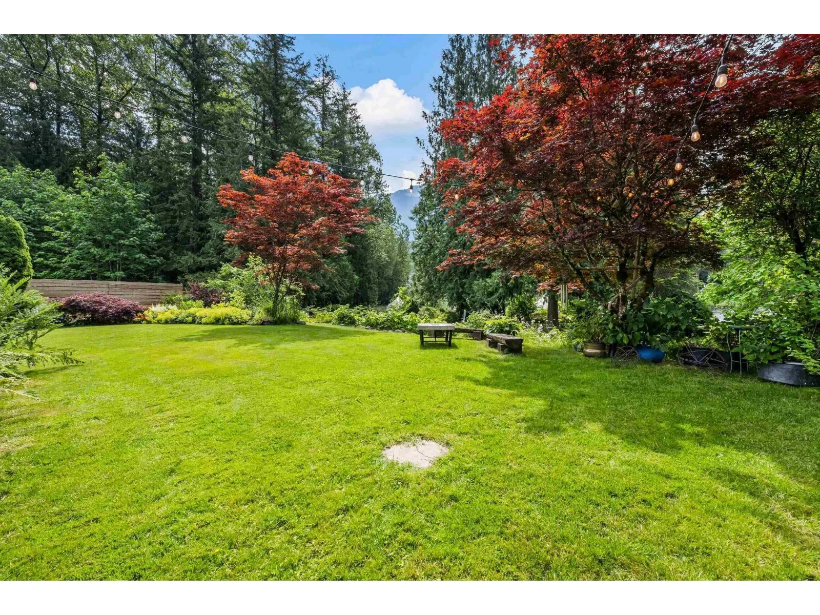 50954 O'BYRNE ROAD|Chilliwack River Valley