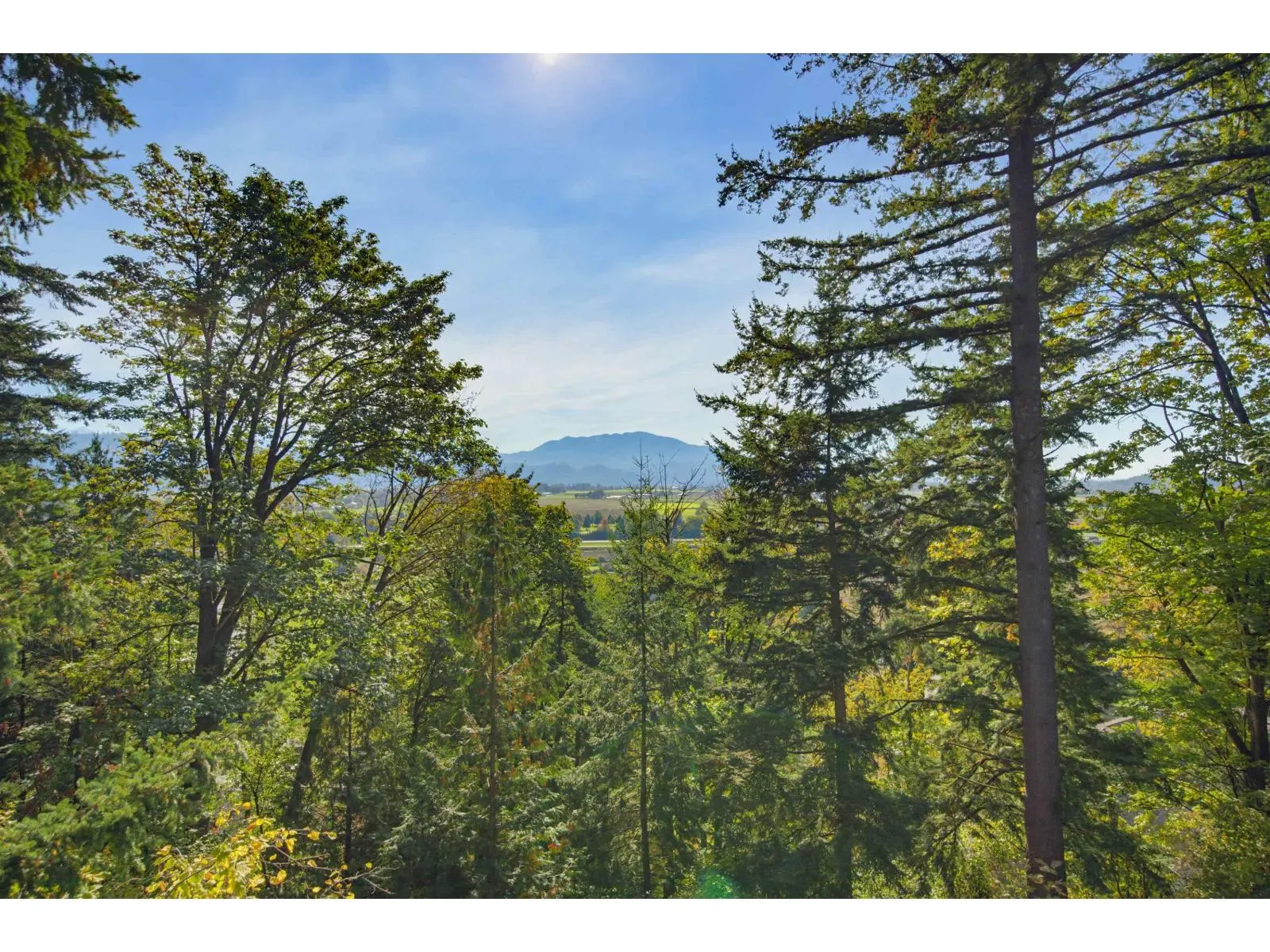 35746 TIMBERLANE DRIVE