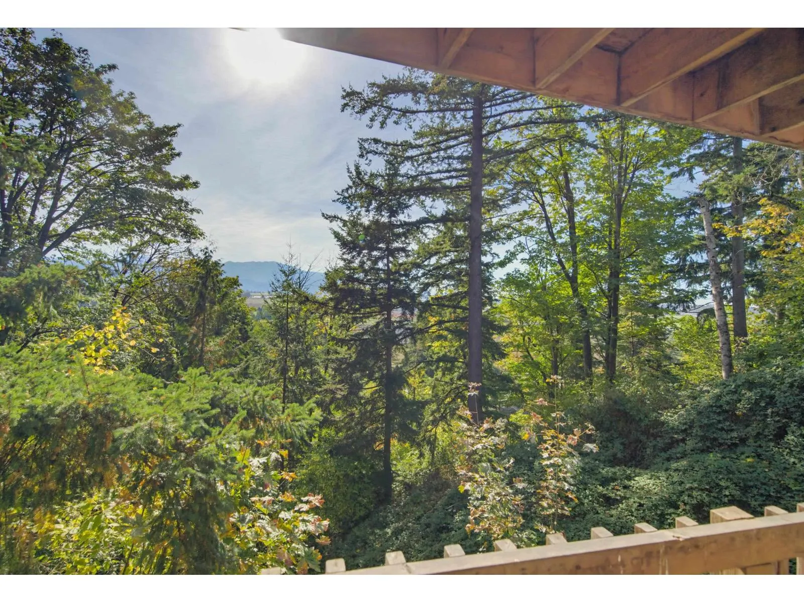35746 TIMBERLANE DRIVE