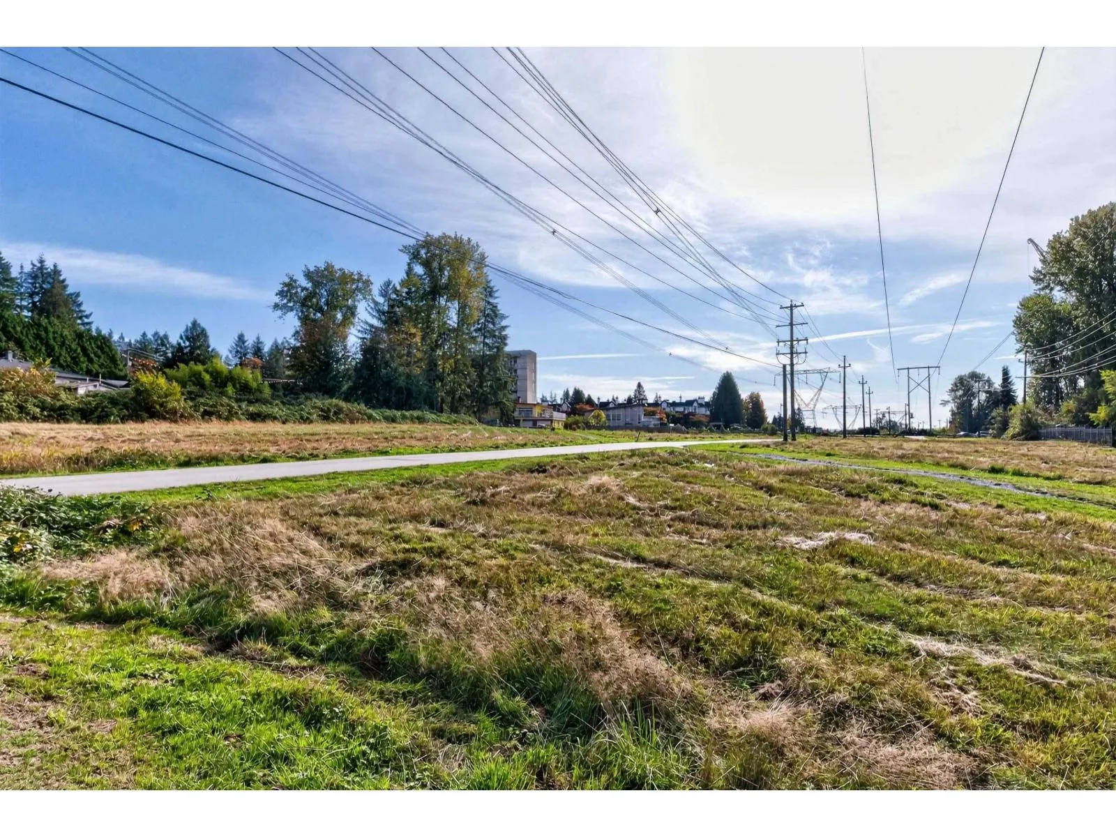 202 10130 139 STREET