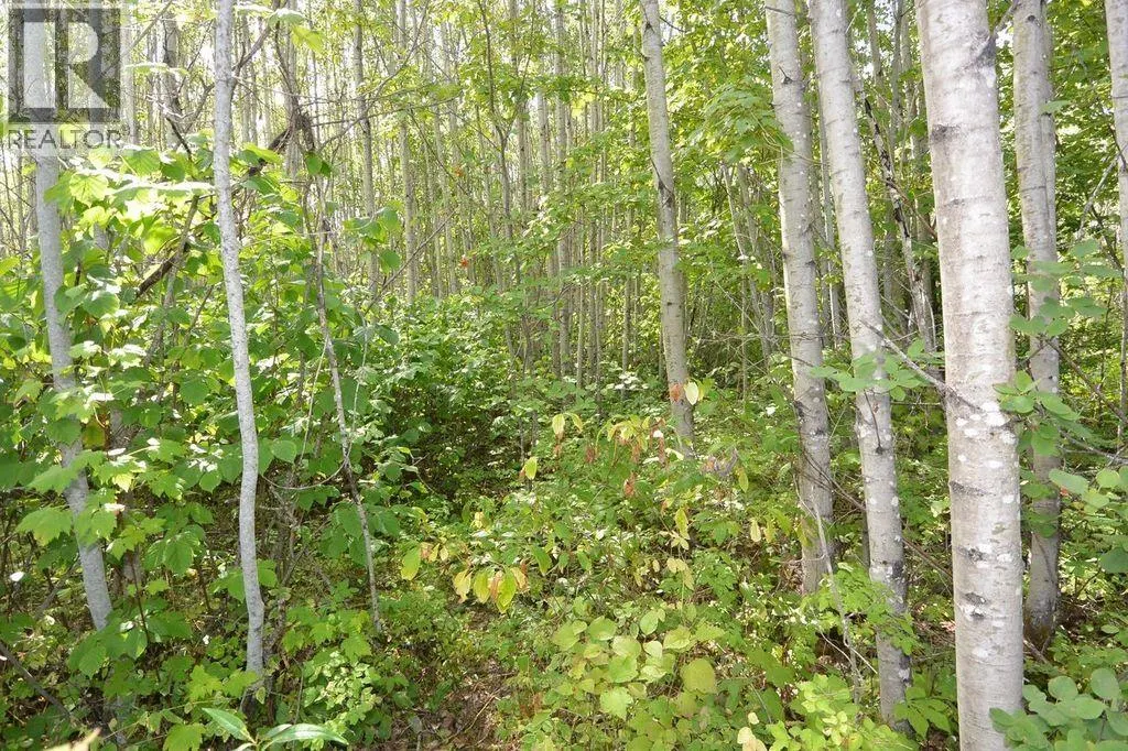 LOT 13 BREWSTER STREET