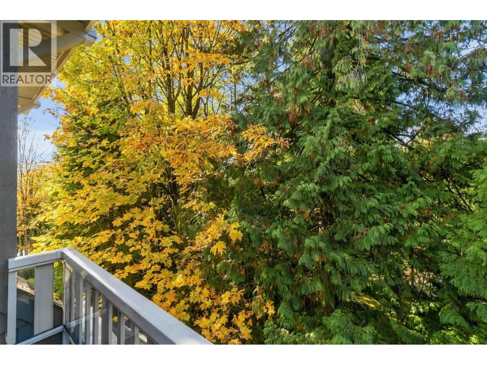 411 960 LYNN VALLEY ROAD