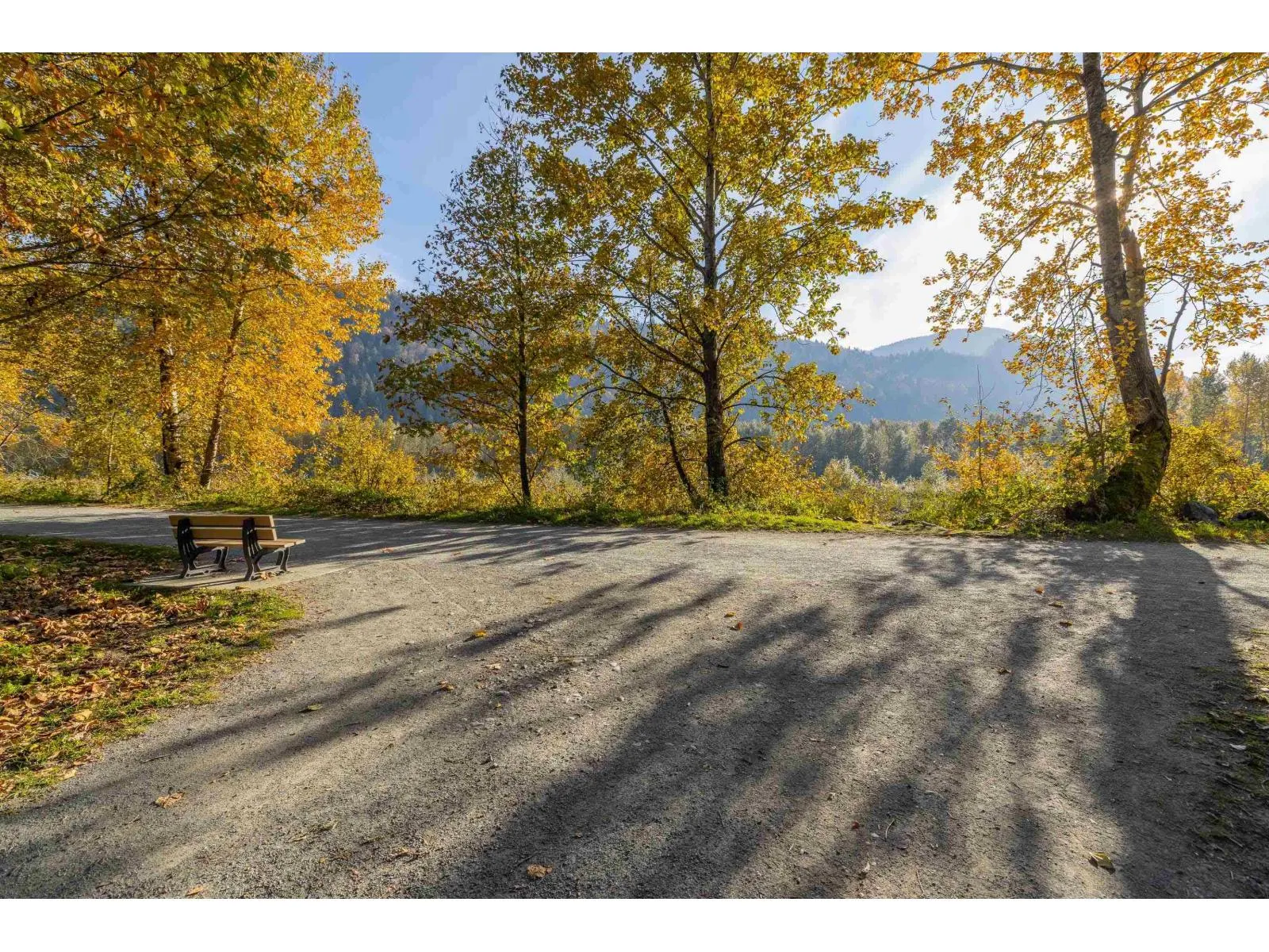 35 44523 MCLAREN DRIVE|Sardis South