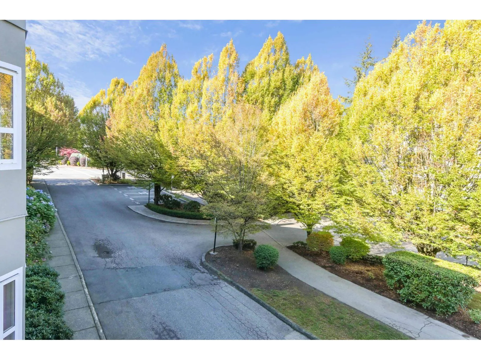 203 8976 208 STREET