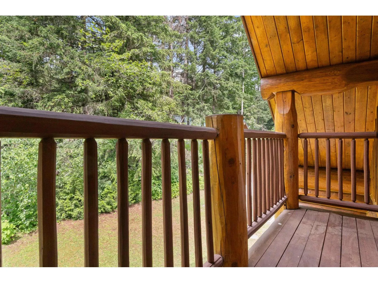 26441 REYNOLDS ROAD|Yale "“ Dogwood Valley