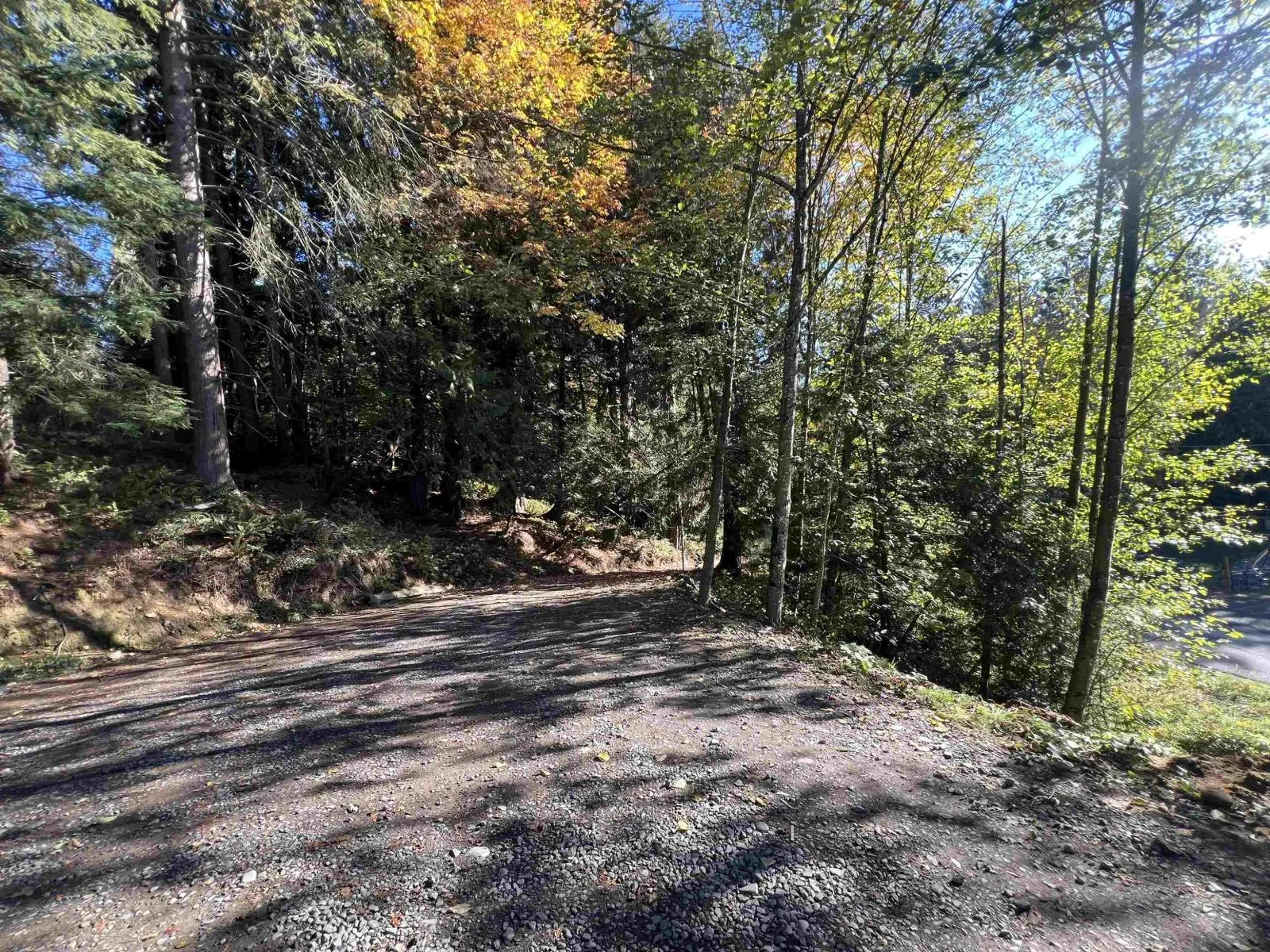 5970 RYDER LAKE ROAD|Ryder Lake