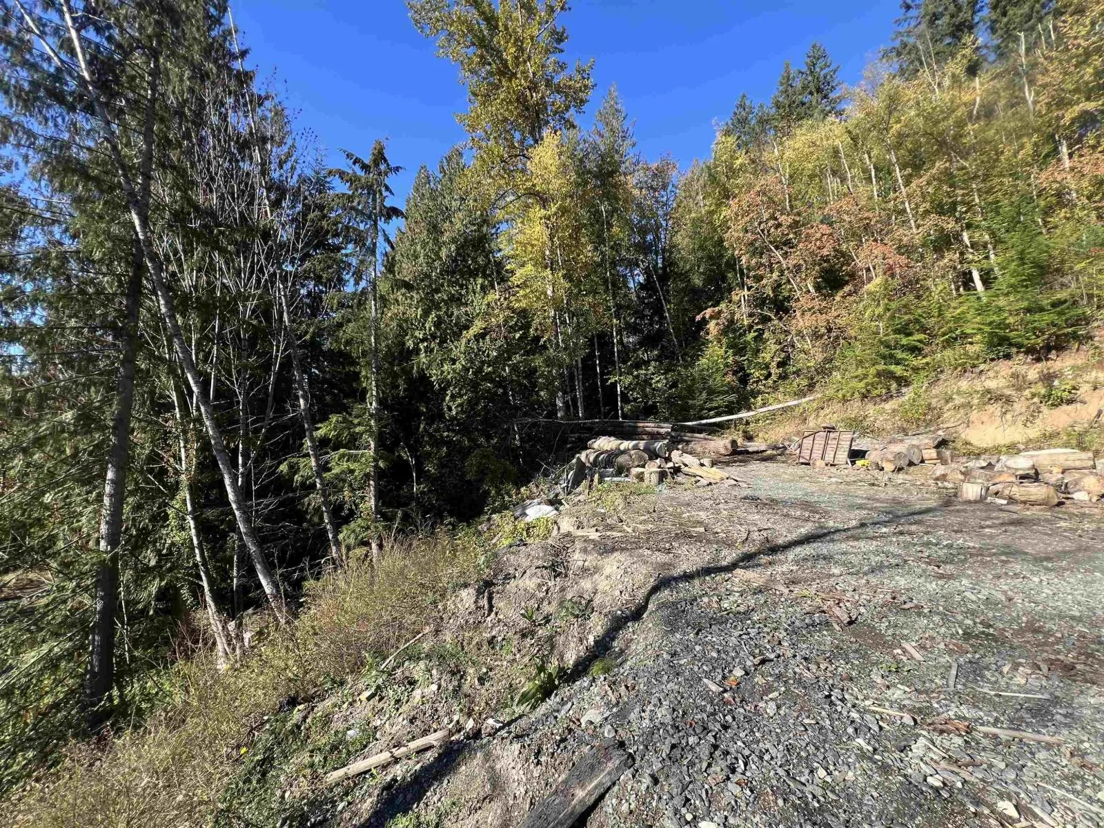 5970 RYDER LAKE ROAD|Ryder Lake